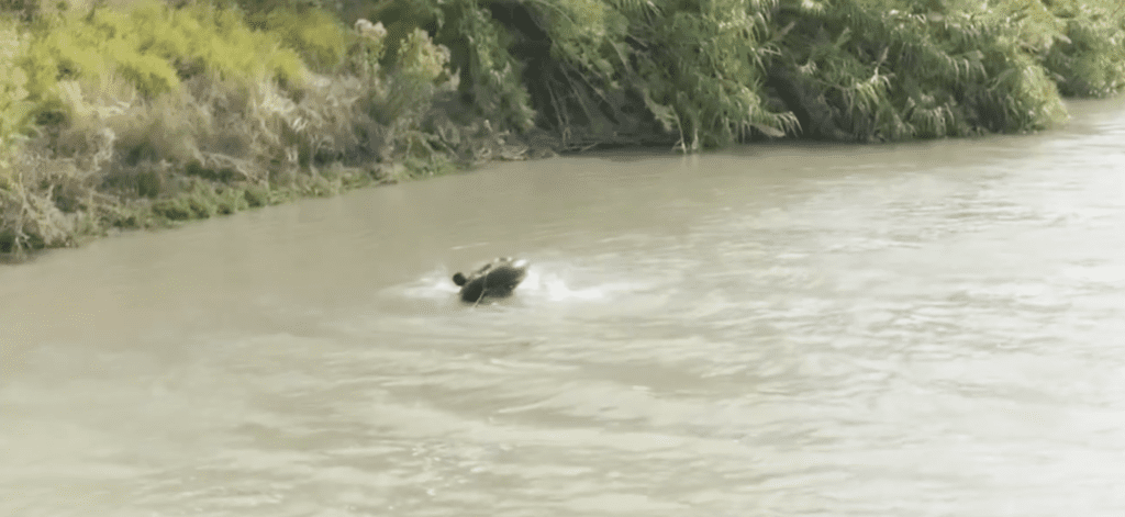 border crosser on boat